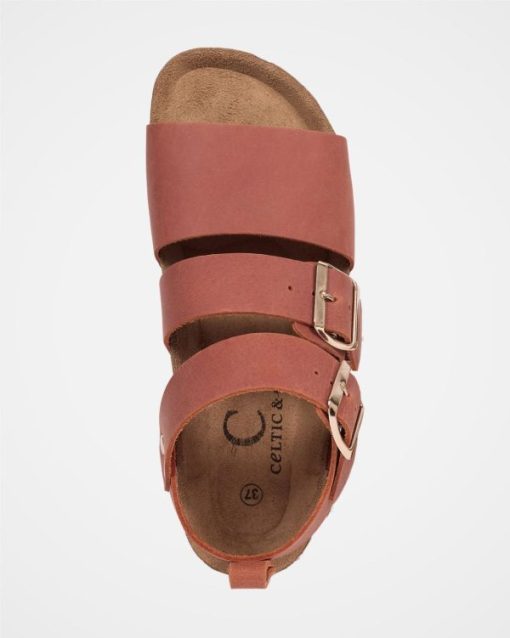 Trendroar.shop4bc4324c3e 5