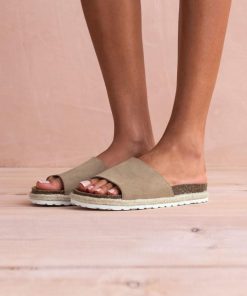 Trendroar.shop4cda0f401b 1