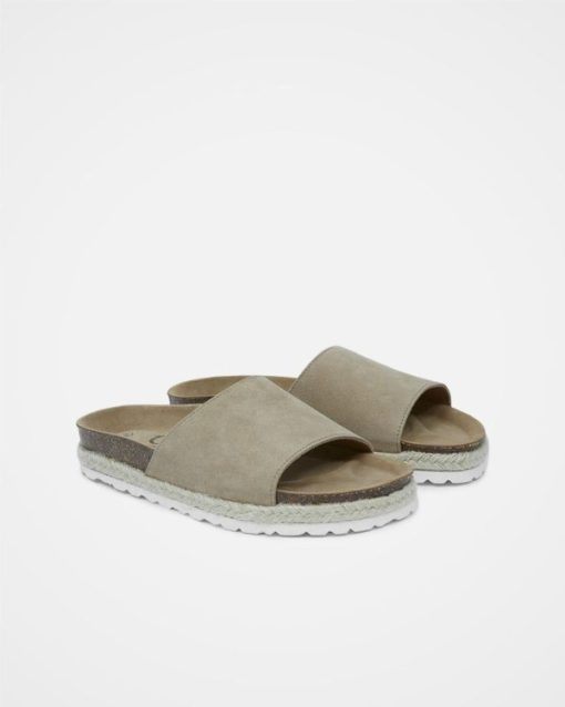 Trendroar.shop4cda0f401b 2