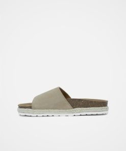 Trendroar.shop4cda0f401b 4