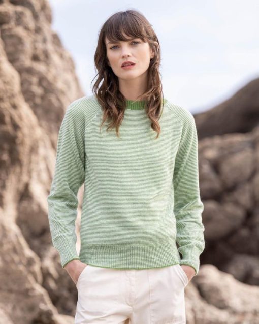 Trendroar.shop4e493bee04 1