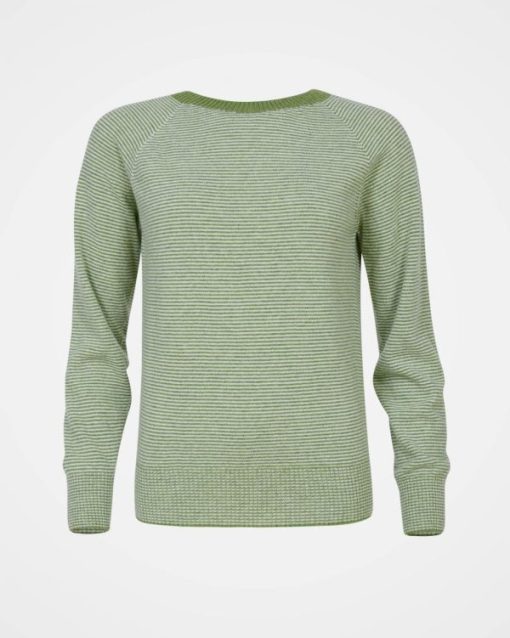 Trendroar.shop4e493bee04 3