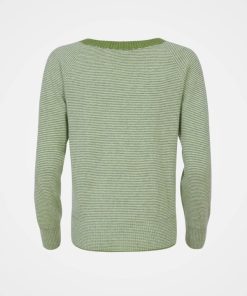 Trendroar.shop4e493bee04 4