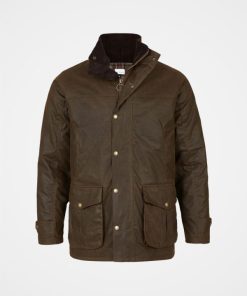 Trendroar.shop4e81aed74d 3