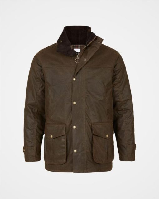 Trendroar.shop4e81aed74d 3