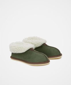 Trendroar.shop50381d6fe1 4