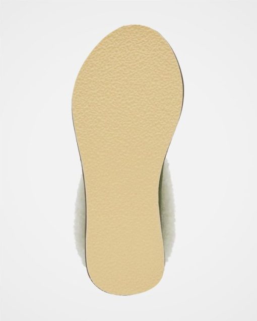 Trendroar.shop50381d6fe1 8