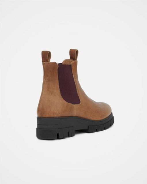 Trendroar.shop51bbce6be2 5