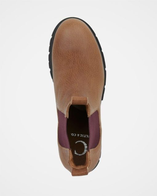 Trendroar.shop51bbce6be2 6
