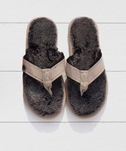 Trendroar.shop53b665c338 1