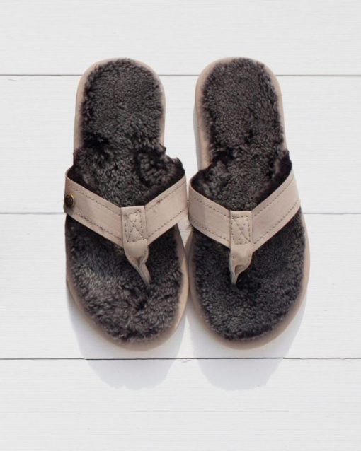 Trendroar.shop53b665c338 1