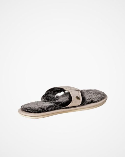 Trendroar.shop53b665c338 5