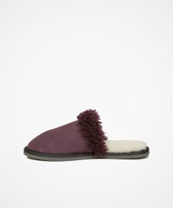 Trendroar.shop56bf33f6ed 3