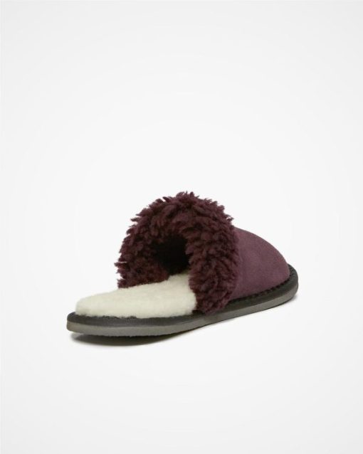 Trendroar.shop56bf33f6ed 4