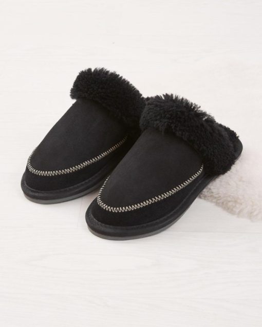 Trendroar.shop57c5d8a712 1