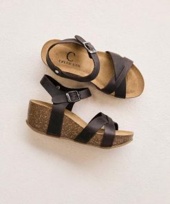 Trendroar.shop5d416c9caa 1