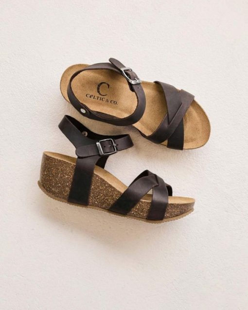 Trendroar.shop5d416c9caa 1