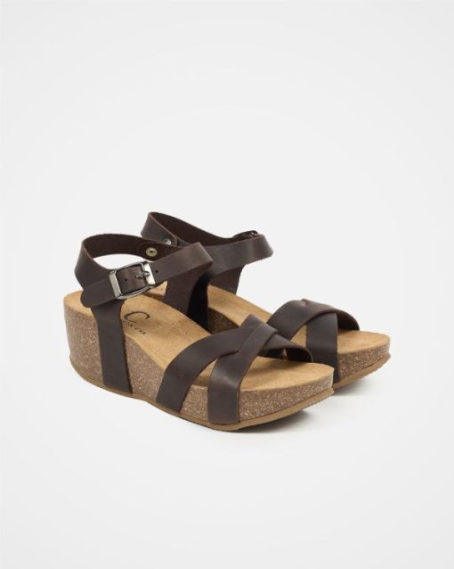 Trendroar.shop5d416c9caa 2