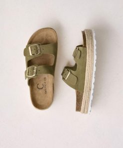 Trendroar.shop67e41d1cf3 1