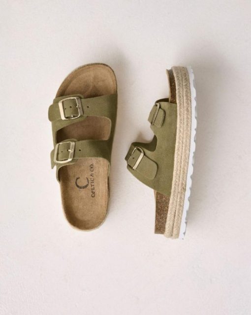 Trendroar.shop67e41d1cf3 1