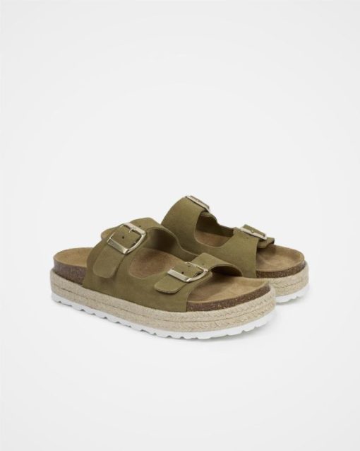 Trendroar.shop67e41d1cf3 2
