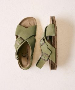 Trendroar.shop68a61279ee 1