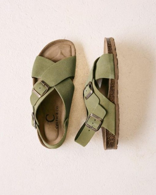 Trendroar.shop68a61279ee 1