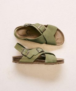 Trendroar.shop68a61279ee 2