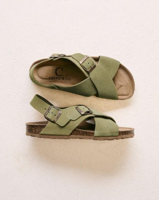 Trendroar.shop68a61279ee 2