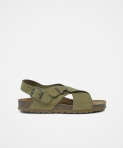 Trendroar.shop68a61279ee 3