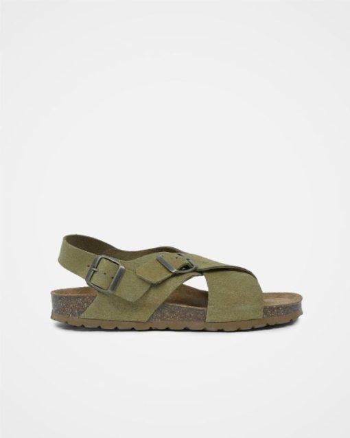 Trendroar.shop68a61279ee 3