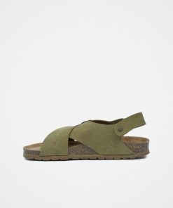 Trendroar.shop68a61279ee 4