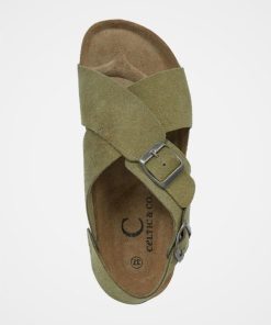 Trendroar.shop68a61279ee 6