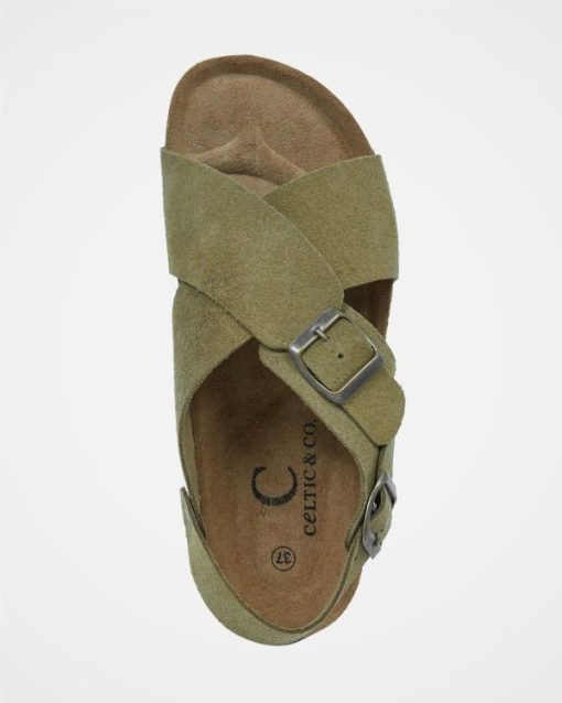 Trendroar.shop68a61279ee 6