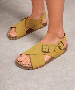 Trendroar.shop6a084bde3b 1
