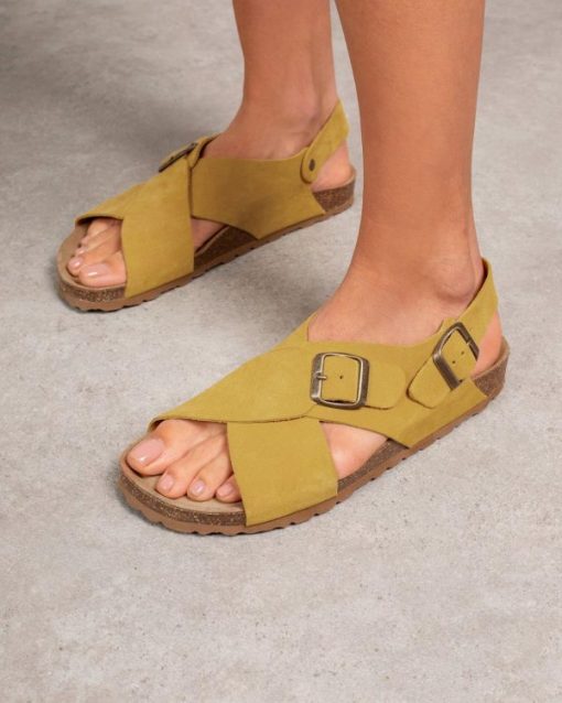 Trendroar.shop6a084bde3b 1