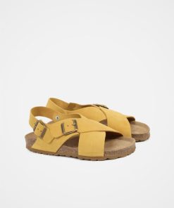 Trendroar.shop6a084bde3b 2
