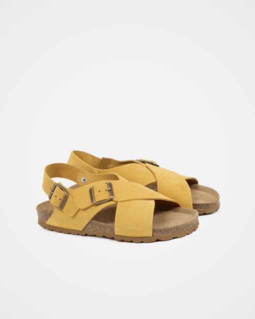Trendroar.shop6a084bde3b 2