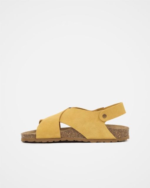 Trendroar.shop6a084bde3b 3