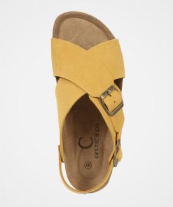 Trendroar.shop6a084bde3b 4