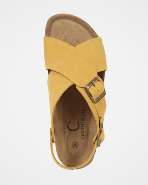Trendroar.shop6a084bde3b 4