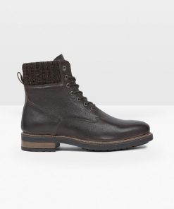 Trendroar.shop6b412112c2 1