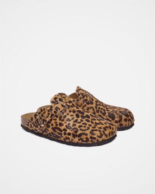 Trendroar.shop6f3312ab05 3