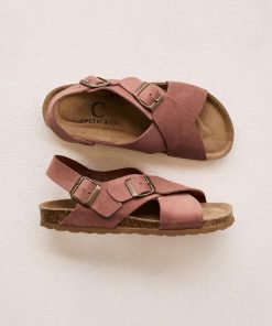 Trendroar.shop79cd767bb3 1