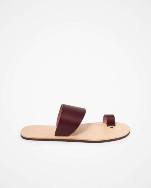 Trendroar.shop7b5a5a798f 2