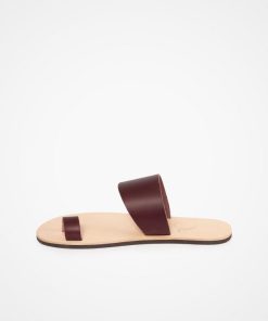 Trendroar.shop7b5a5a798f 3