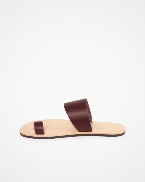 Trendroar.shop7b5a5a798f 3