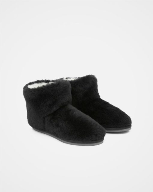 Trendroar.shop7daaace664 4