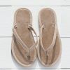 Trendroar.shop7feddc5844 1