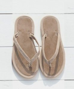 Trendroar.shop7feddc5844 1